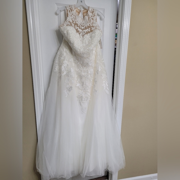Beautiful Plus Size Wedding Dresses - Picture 5 of 12